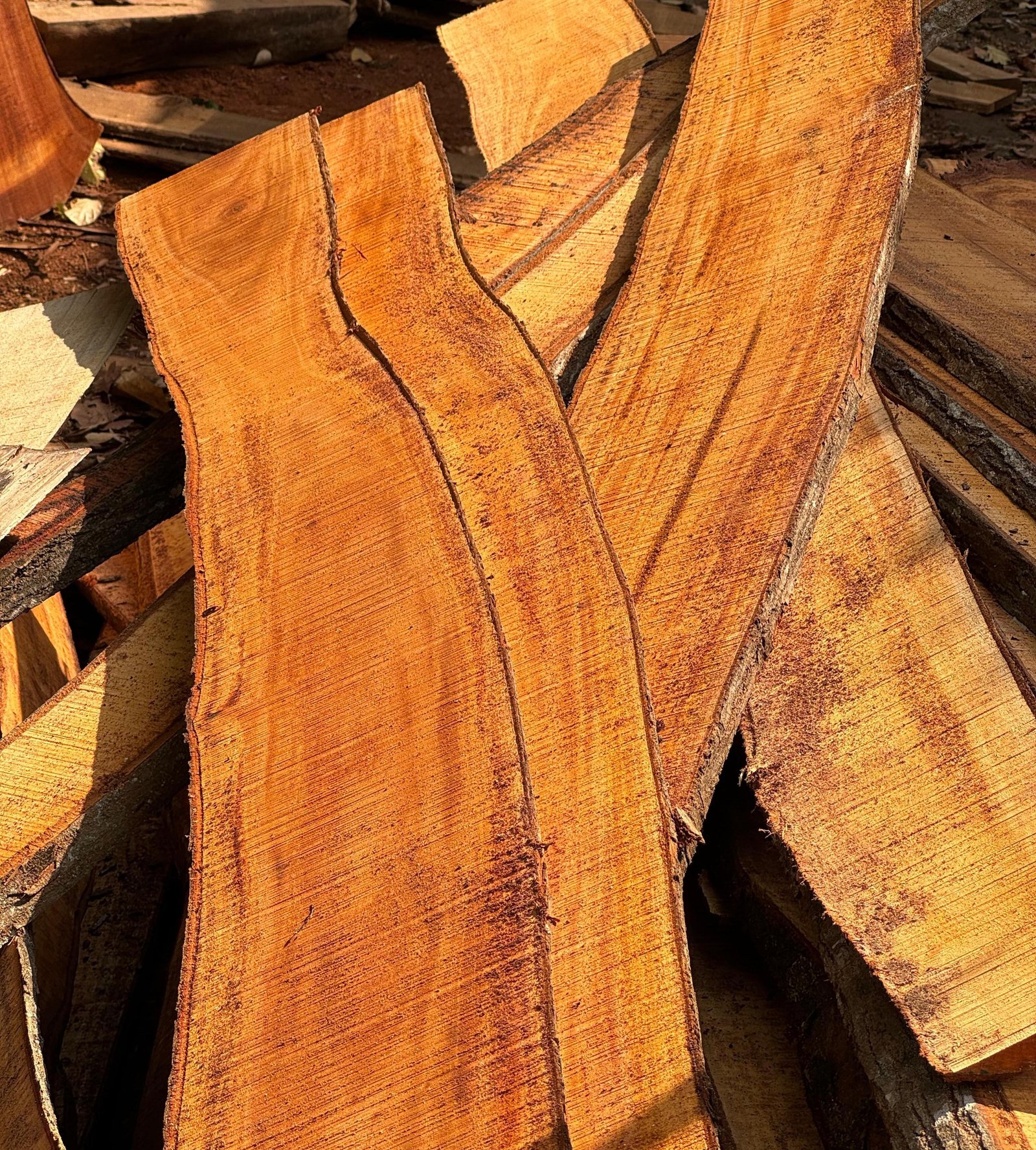 The Secret of Teak Wood Quality: Why Mafaza Living Is The Best Choice?